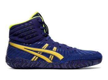 Asics Erkek Aggressor 4 Güreş Ayakkabısı TR145WL